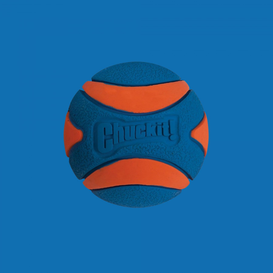 Chuckit Ultra squeaker ball Chuckit Ultra squeaker ball