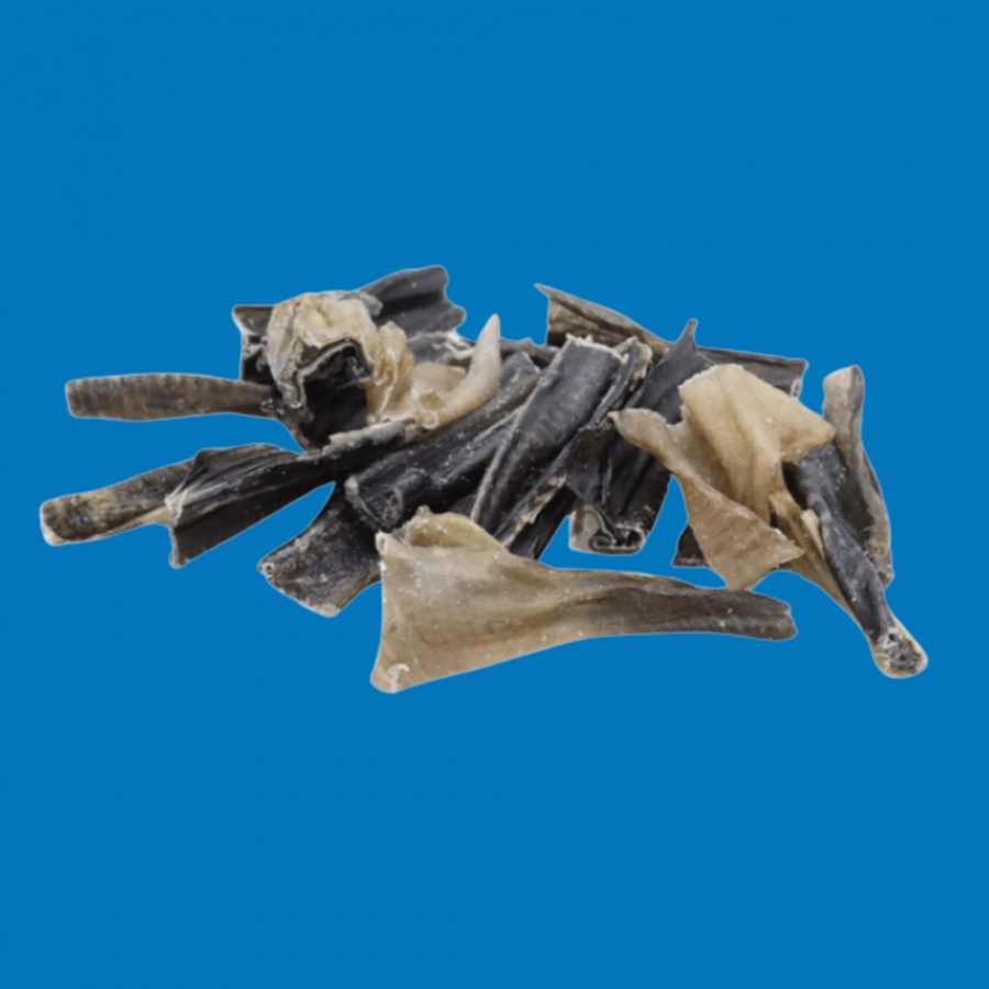 Peau de Poisson-Chat – Snack Naturel pour Chien