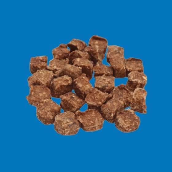 Cube de Saumon Séché – Snack Gourmand pour Chien