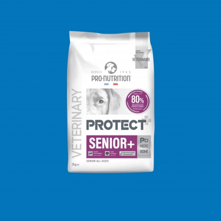 Pro-Nutrition Protect Senior + chien