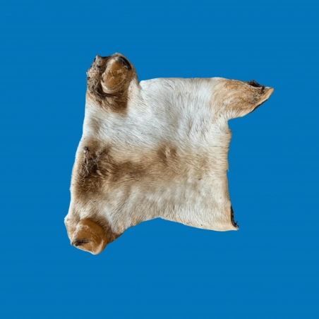 Plaque de peau de bœuf (avec poils)