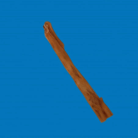 Peau de boeuf - 30 cm