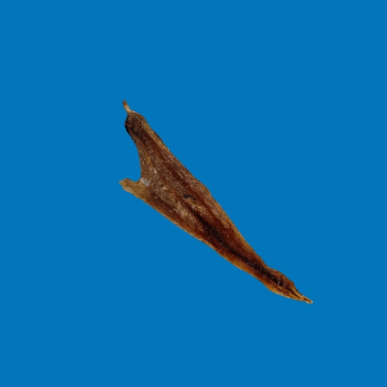 Filet d’Aiglefin Séché – Friandise Chien Naturelle
