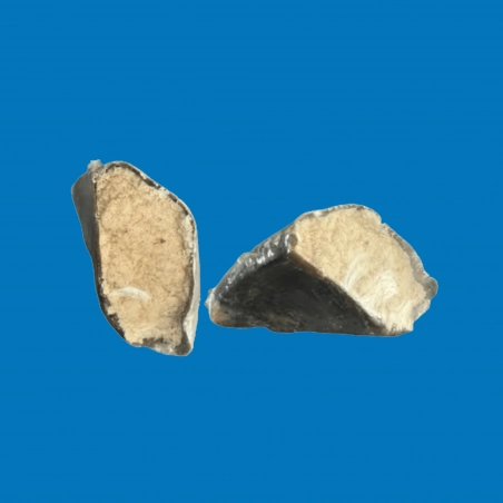 Sabot de boeuf fourré
