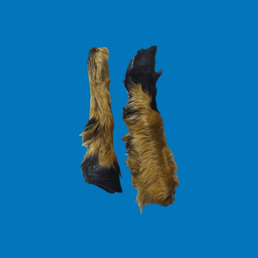 Pied d’Agneau Poilu – Friandise Naturelle pour Chien Pied d’Agneau Poilu – Friandise Naturelle pour Chien