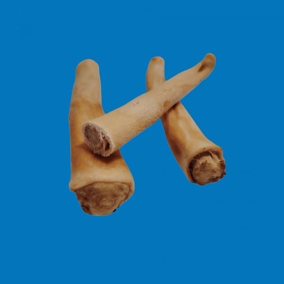 Queue de bœuf