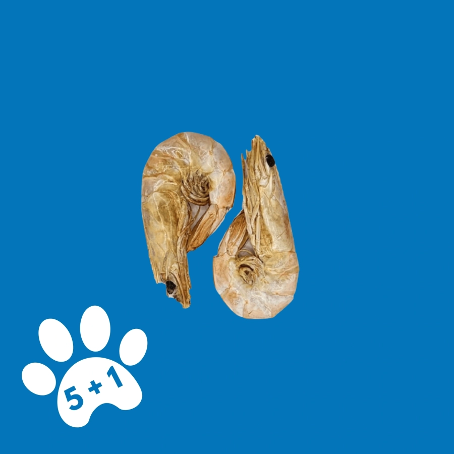Crevette Non Décortiquée – Snack Naturel pour Chien Crevette Non Décortiquée – Snack Naturel pour Chien