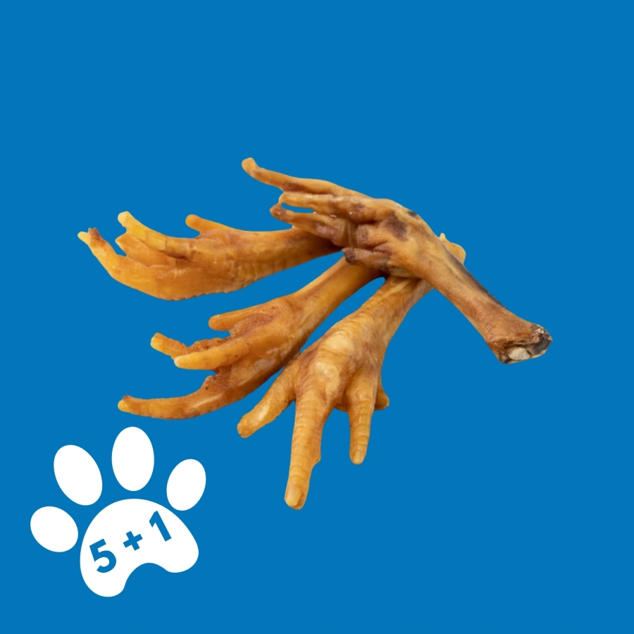 Patte de poulet pour chien - Friandise Naturelle