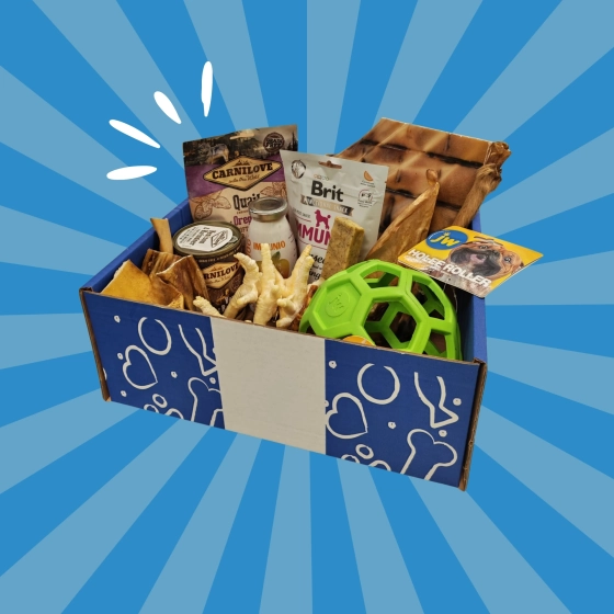 LA BOX DE RENTREE - Edition Limitée