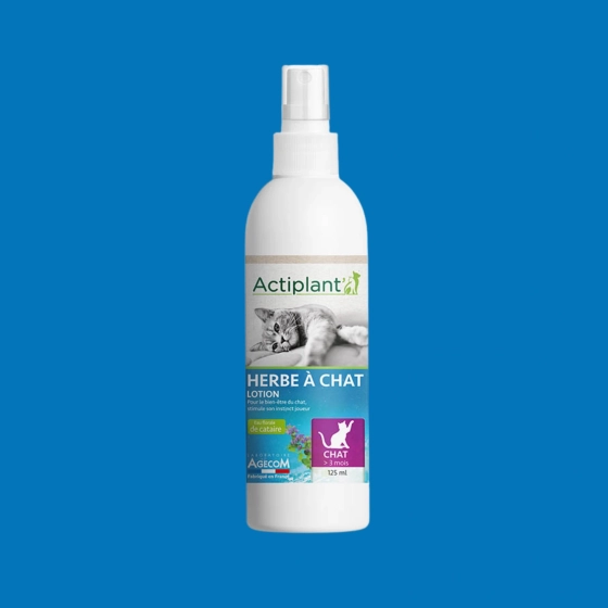 Actiplant’ Herbe à Chat – Bien-être & Digestion