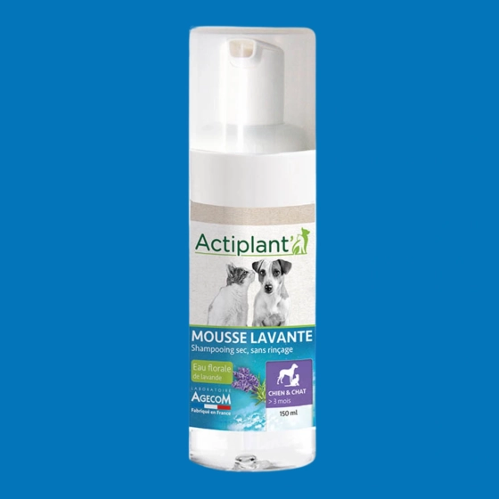 Actiplant' - Mousse lavante