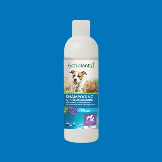 Actiplant' - Shampooing anti démangeaisons parfum lavande