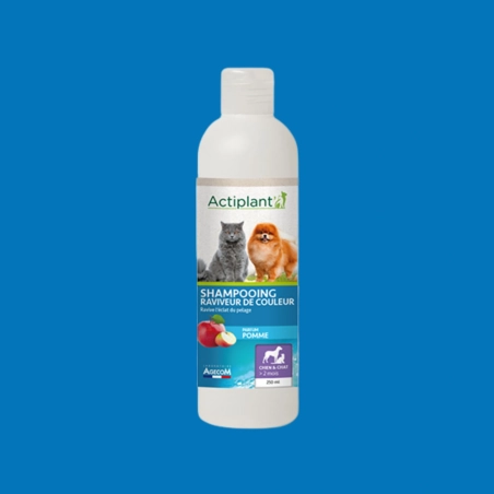 Actiplant' - Shampooing raviveur de couleur parfum pomme