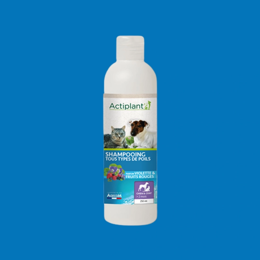 Shampooing tous types de poils violette & fruits rouges – Actiplant’ Shampooing tous types de poils violette & fruits rouges – Actiplant’