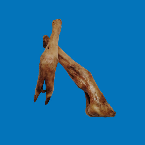 Pied d'agneau Maxi
