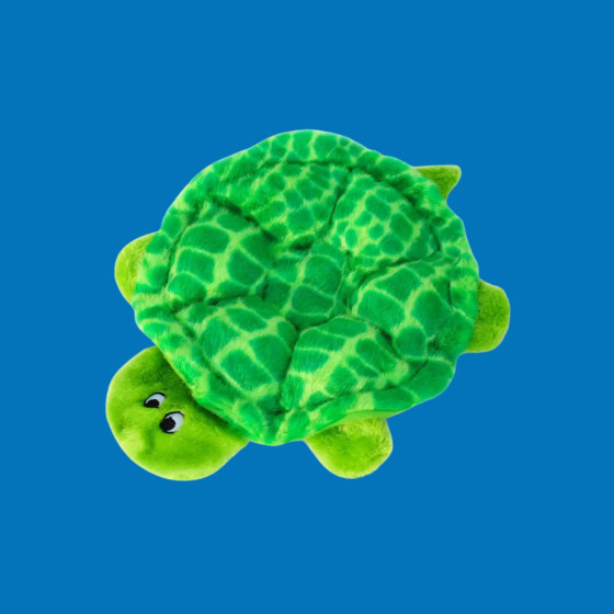 SlowPoke La Tortue