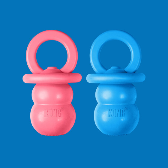 KONG Puppy Binkie