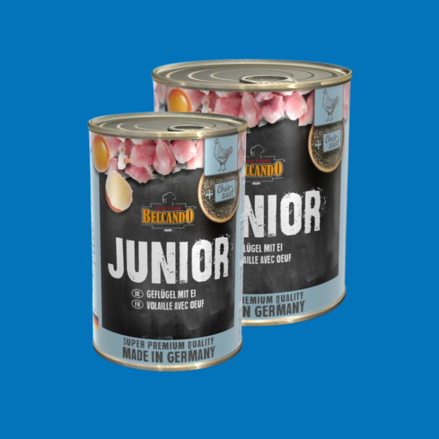 BELCANDO - Boîte : Junior volaille & oeuf BELCANDO - Boîte : Junior volaille & oeuf
