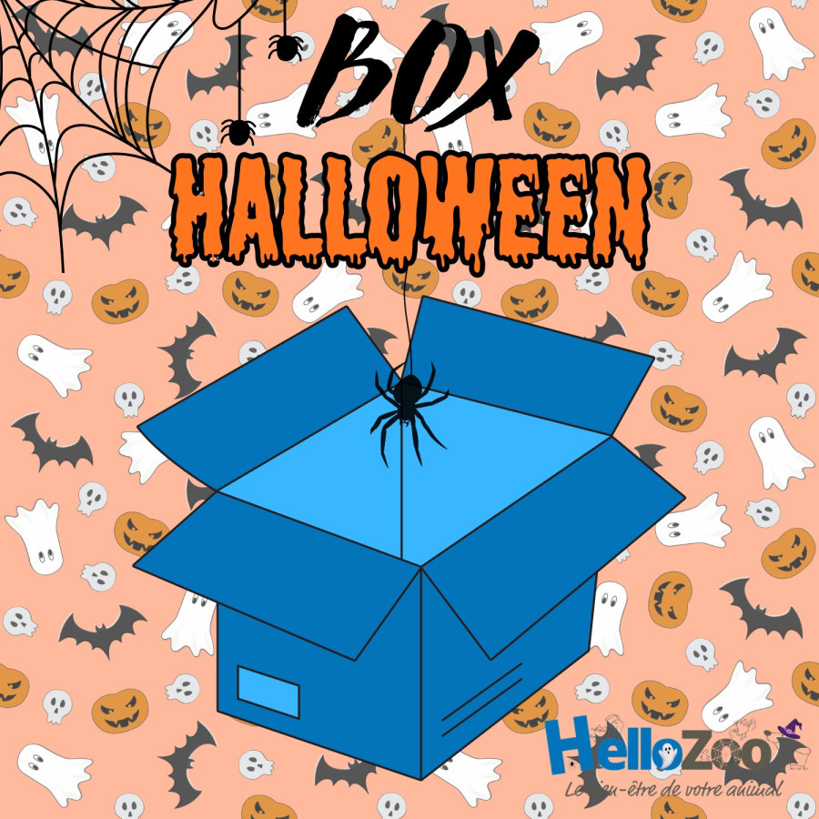 La Super Box Effrayante D'Halloween