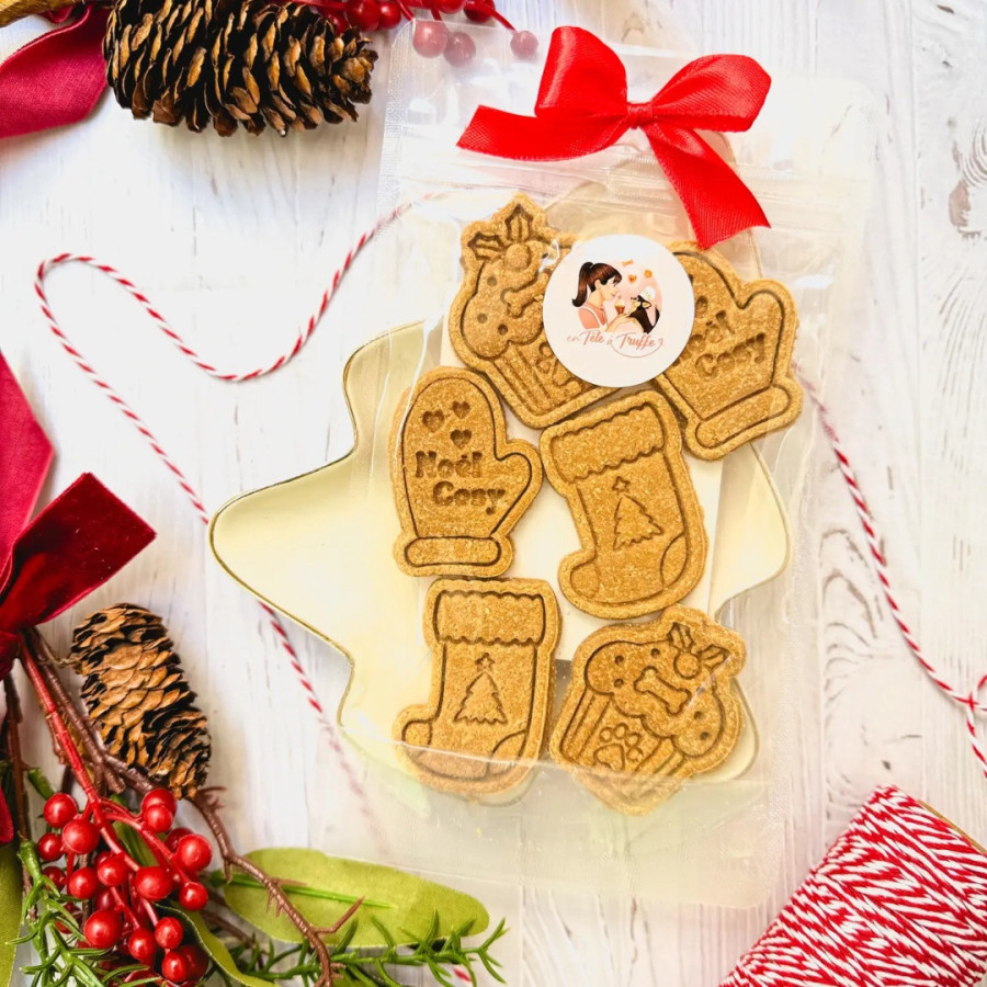 Sachet “Noël Gourmand” – Biscuits artisanaux pour chiens