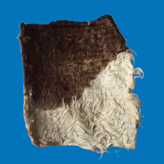 Plaque de Peau de Tête de Bœuf Poilue 40x40cm