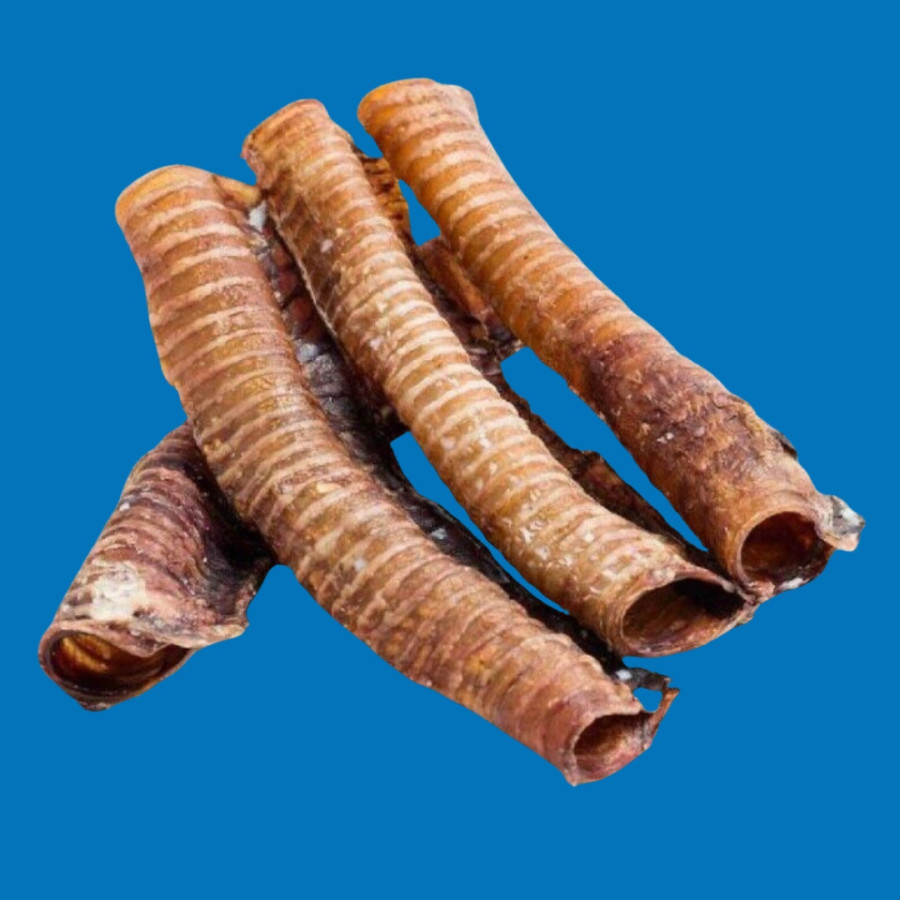 Trachée de Bœuf XXL 30 cm – Friandise Naturelle pour Chien