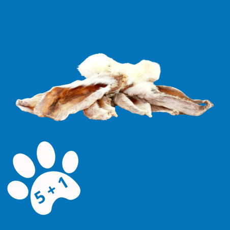 Double Oreille de Lapin poilue