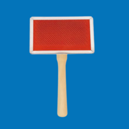 Brosse picots souples manche en bois