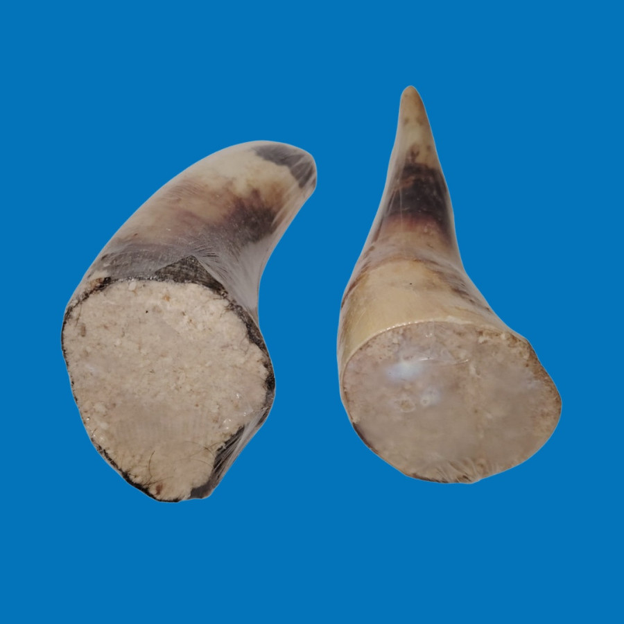 Corne de Bœuf Farci