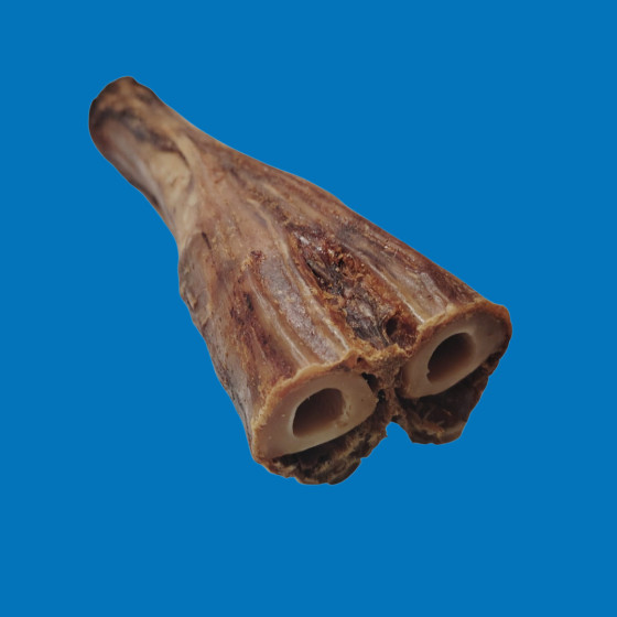 Pied de bœuf sans sabot