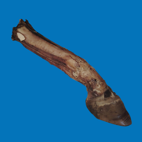 Pied de bœuf avec Sabot XXL