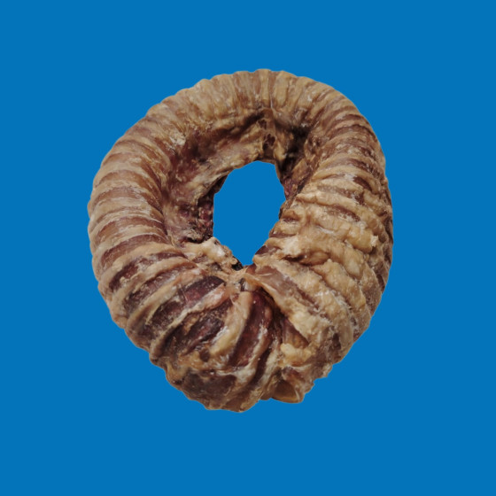 Trachée de Bœuf Donut