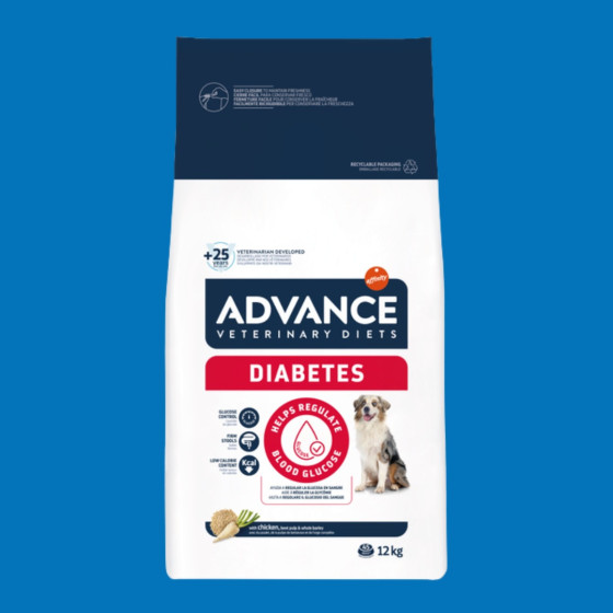 Advance DIABETES Chien