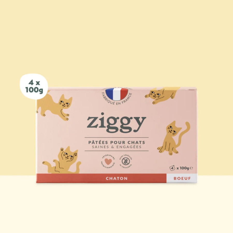 Ziggy Pâtée Chaton Boeuf