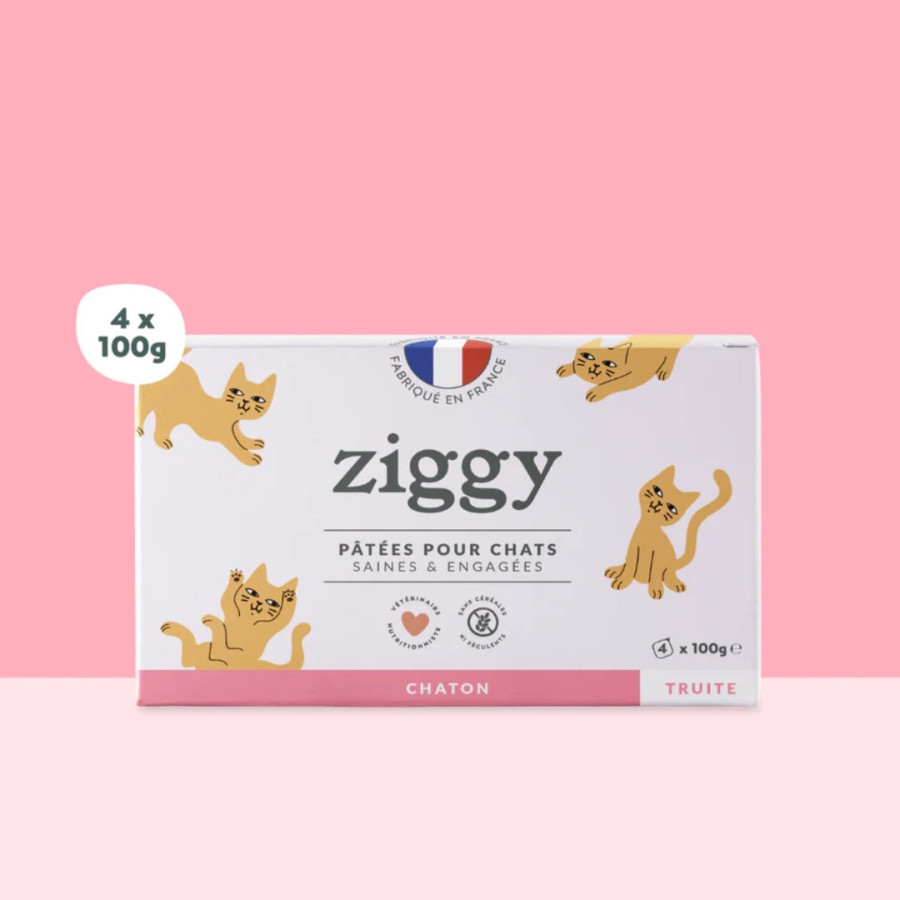 Ziggy Pâtée Chaton Truite