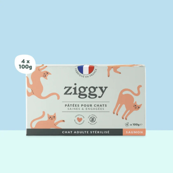 Ziggy Pâtée Chat Stérilisé Saumon