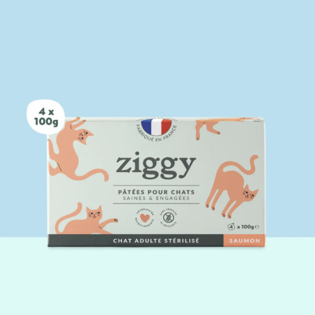 Ziggy Pâtée Chat Stérilisé Saumon