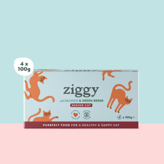 Ziggy Pâtée Chat Senior Saumon