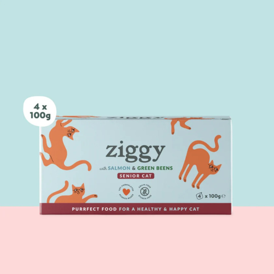 Ziggy Pâtée Chat Senior Saumon
