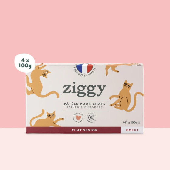 Ziggy Pâtée Chat Senior Boeuf