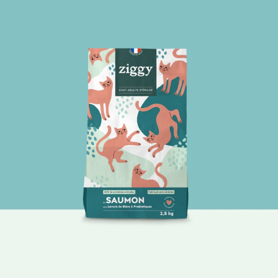 Ziggy Croquettes Chat Stérilisé Saumon
