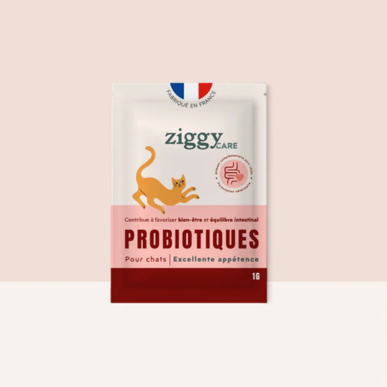 Ziggy Probiotiques Chat Flore Digestive