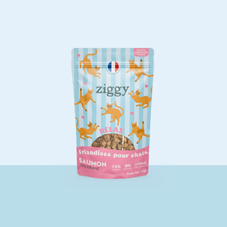 Ziggy Friandises Relax Saumon & Valériane 40g