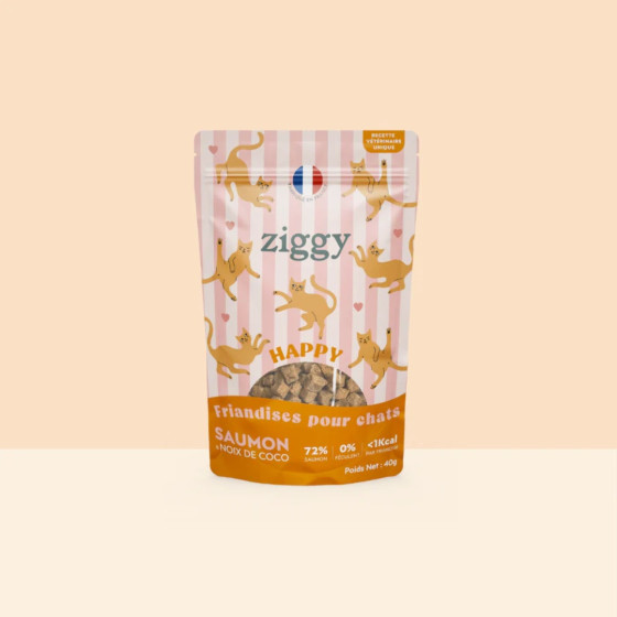 Ziggy Friandises Happy Saumon & Coco 40g