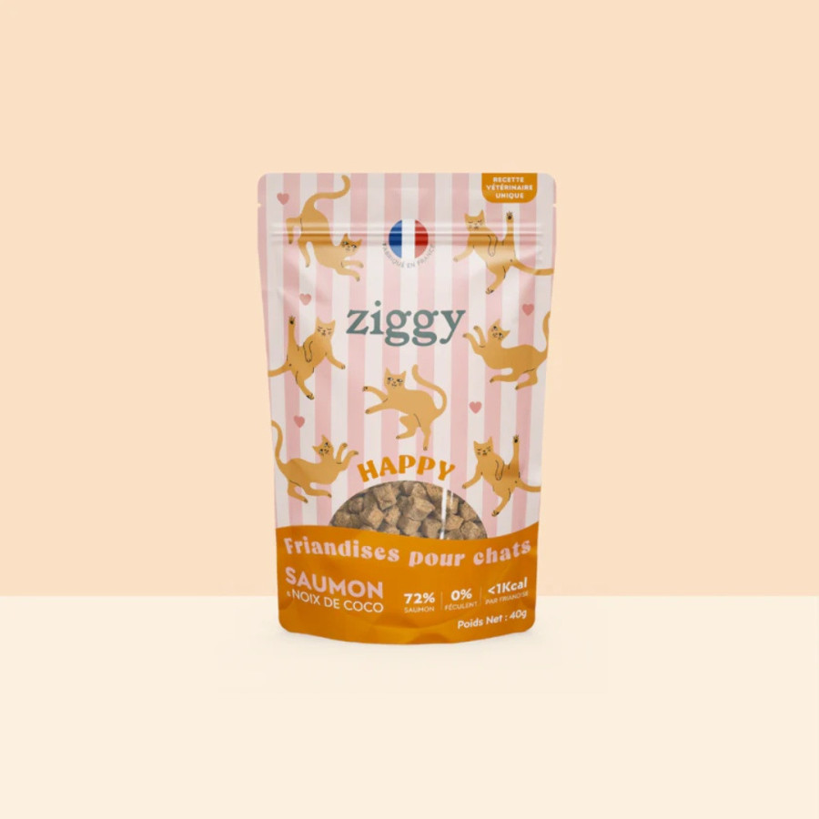 Ziggy Friandises Happy Saumon & Coco 40g