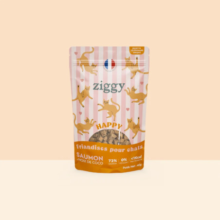 Ziggy Friandises Happy Saumon & Coco 40g