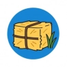 Foin