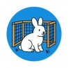 Enclos lapin