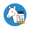 Complément alimentaire cheval